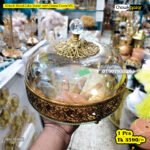 10 Inch Metal Cake Stand with Dome Cover (VS)